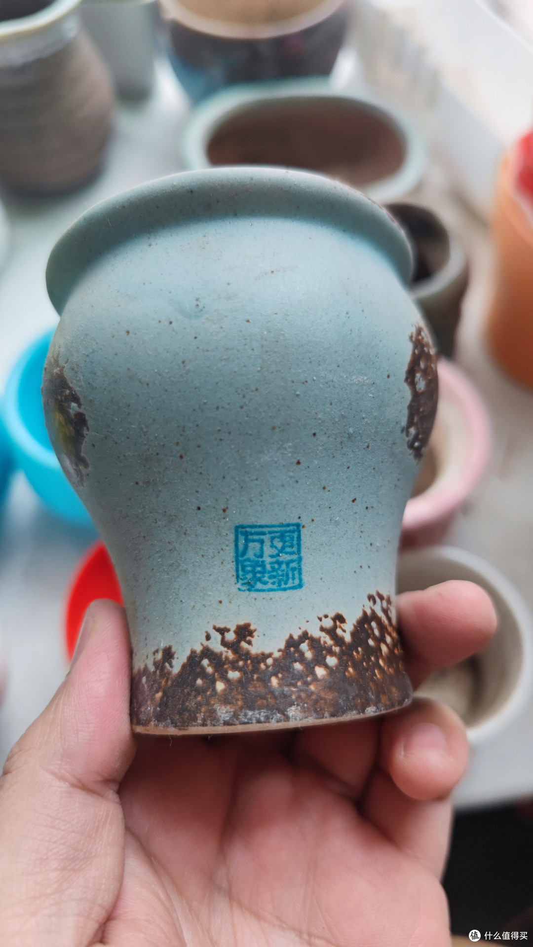 告别多肉：回顾我的30多个盆