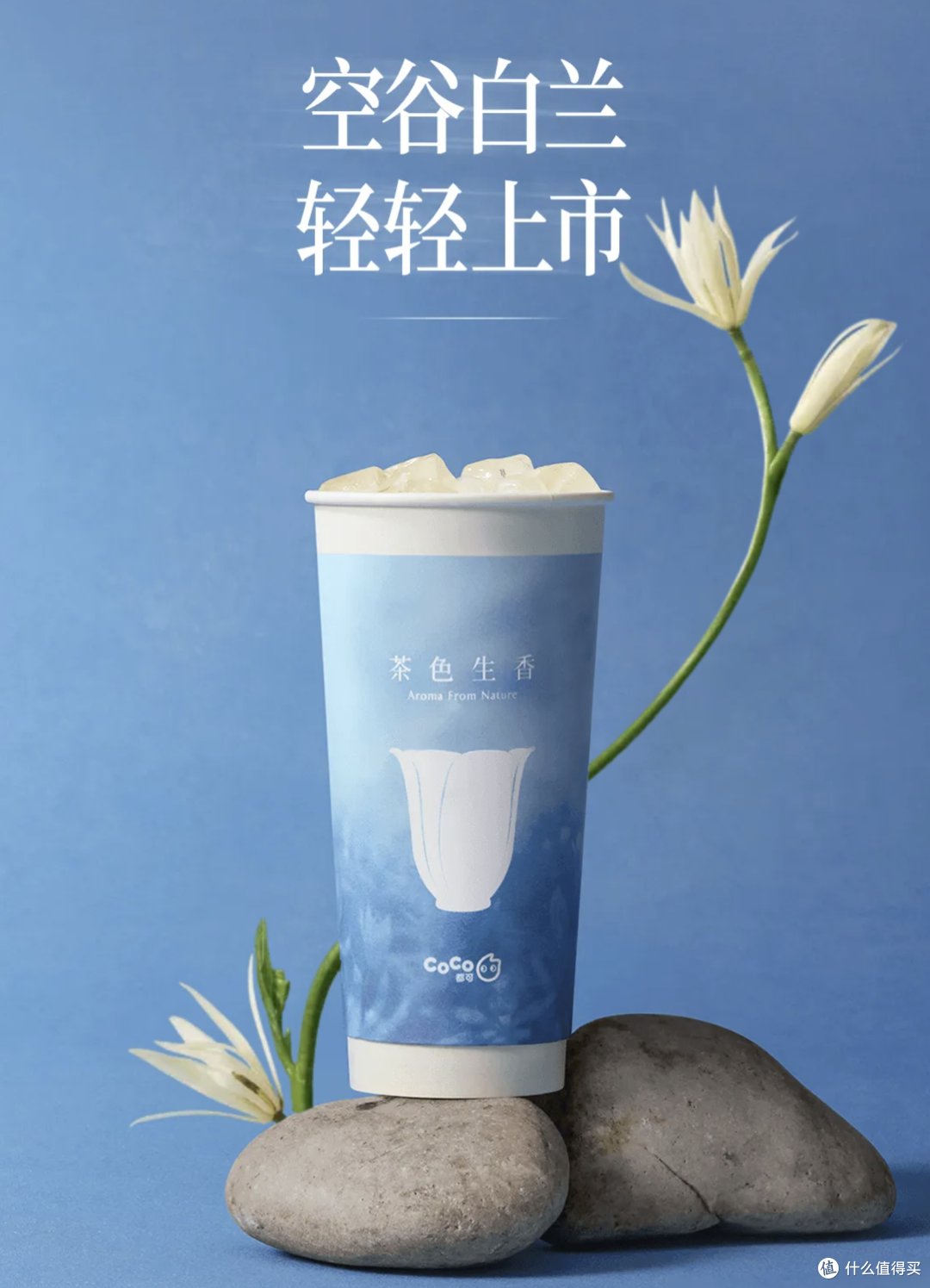 果子熟了30%果汁茶,简爱果蔬沙拉酸奶.....丨新品情报(第1期)