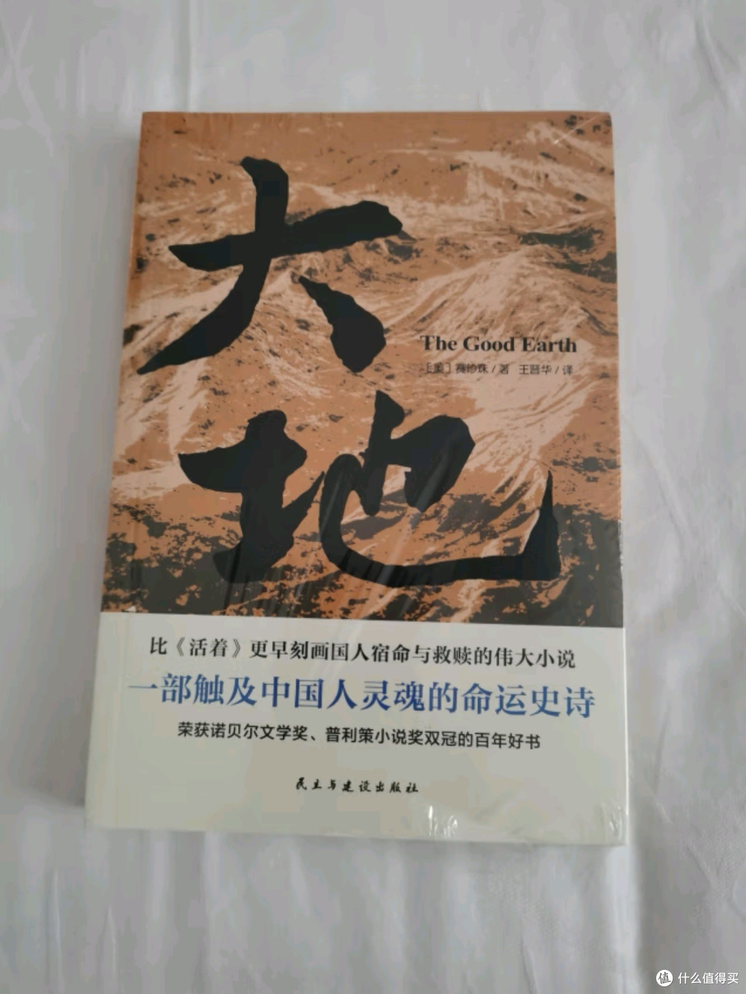 《大地》:一部灵魂深处的史诗,探寻中国人的宿命与救赎