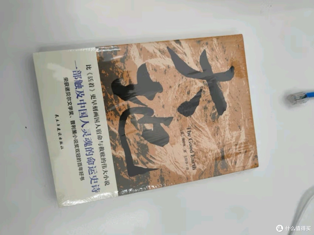 《大地》:一部灵魂深处的史诗,探寻中国人的宿命与救赎