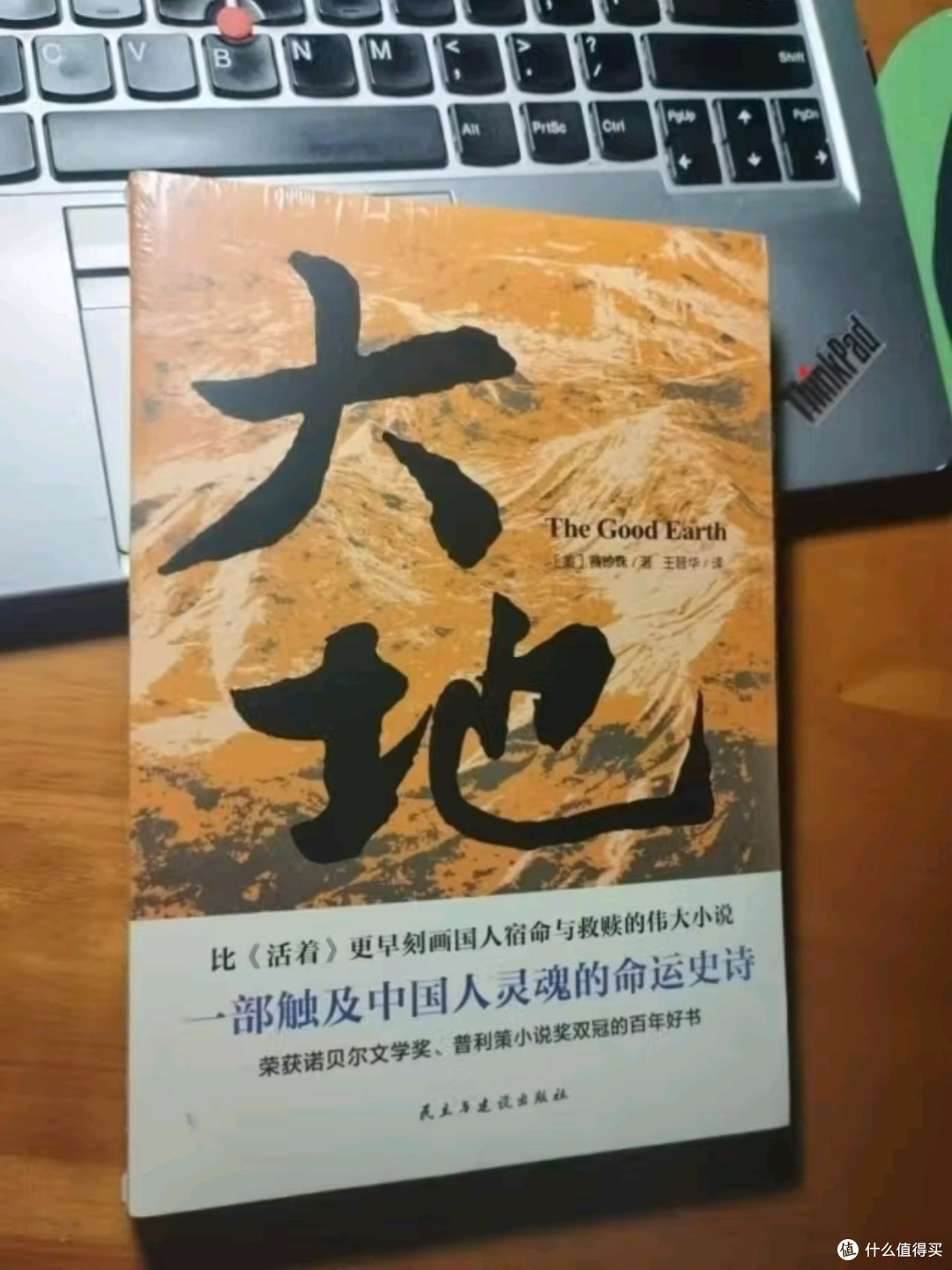 《大地》：一部灵魂深处的史诗，探寻中国人的宿命与救赎