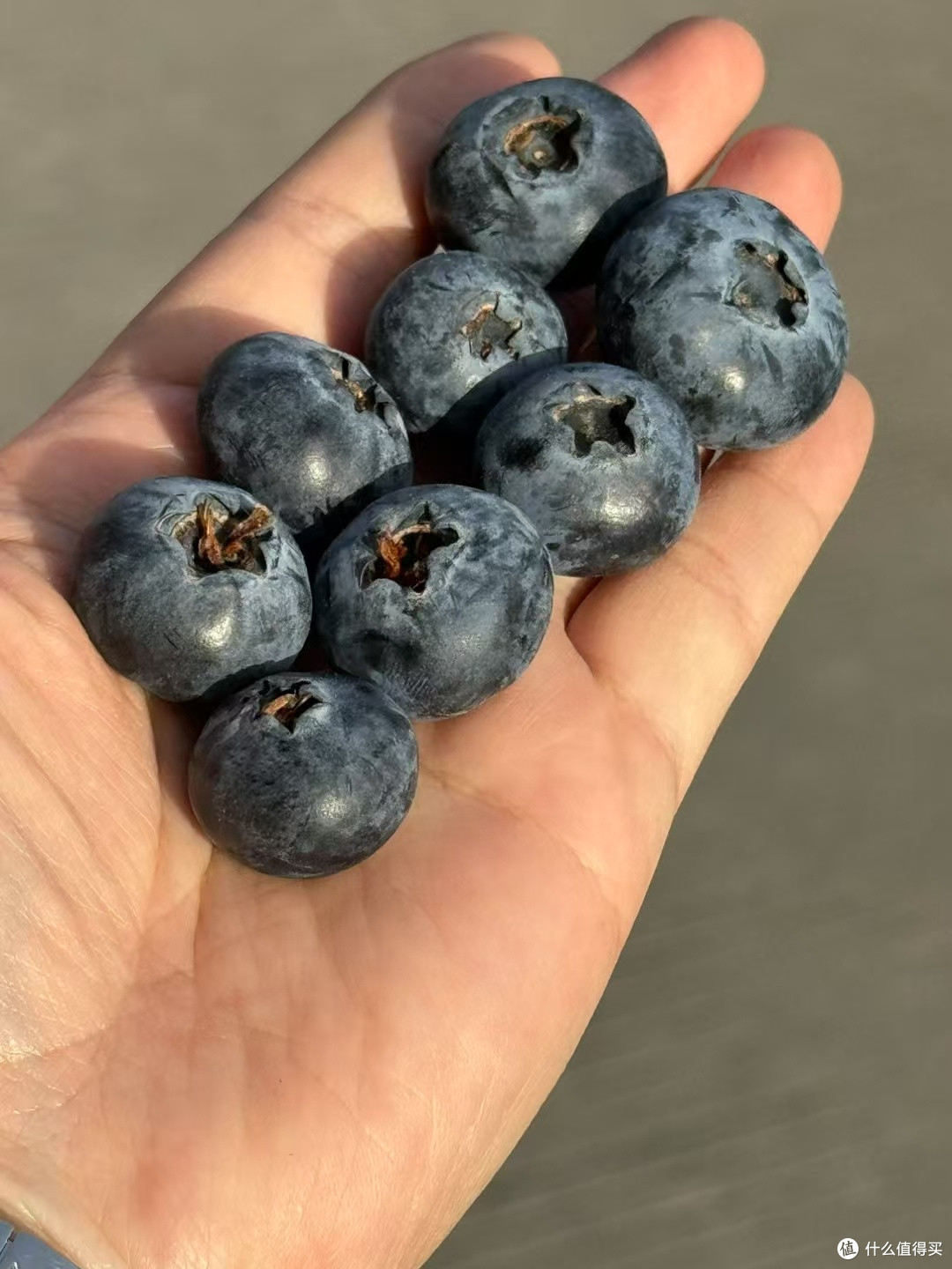 很合适春天吃的三种网红水果。