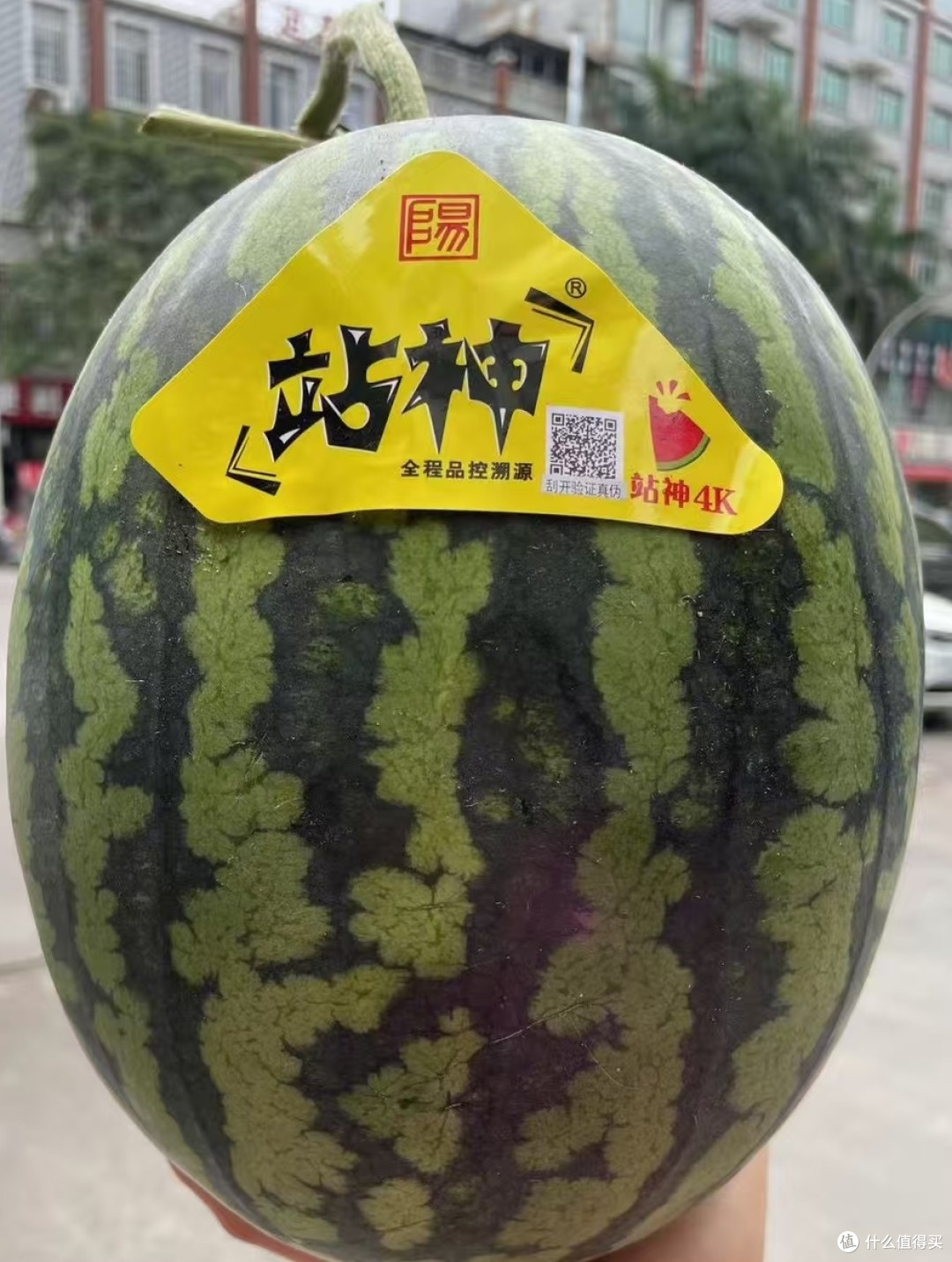 很合适春天吃的三种网红水果。