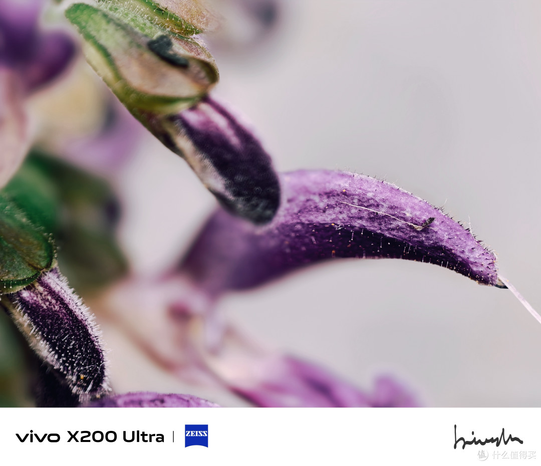 vivo X200 Ultra 简测：重塑手机摄影边界的全能旗舰？