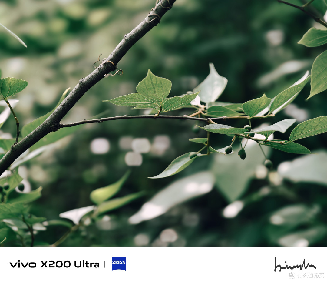 vivo X200 Ultra 简测：重塑手机摄影边界的全能旗舰？