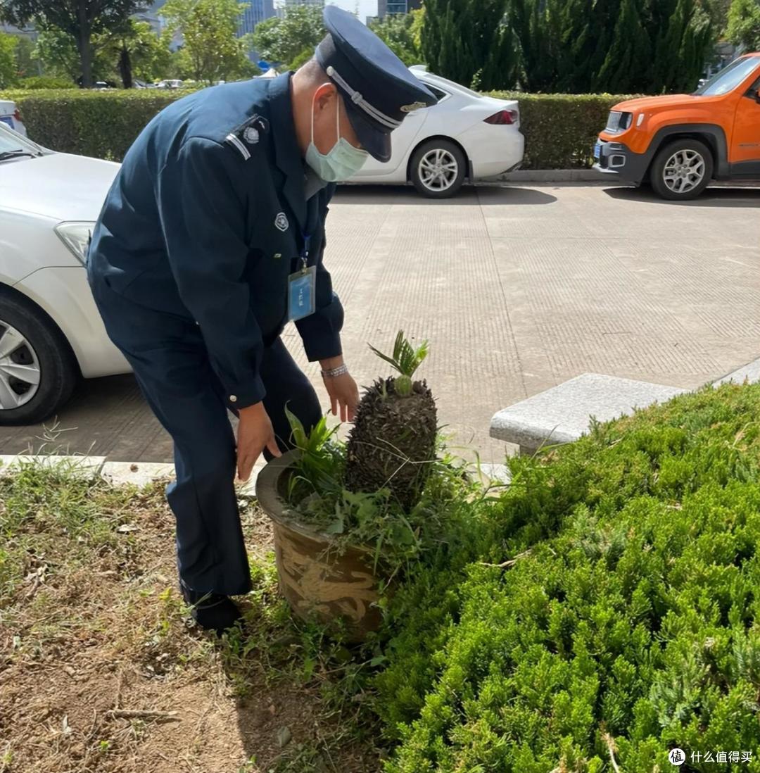 上海一保安，因“捡业主淘汰的花养”而火了，网友：给大叔涨工资