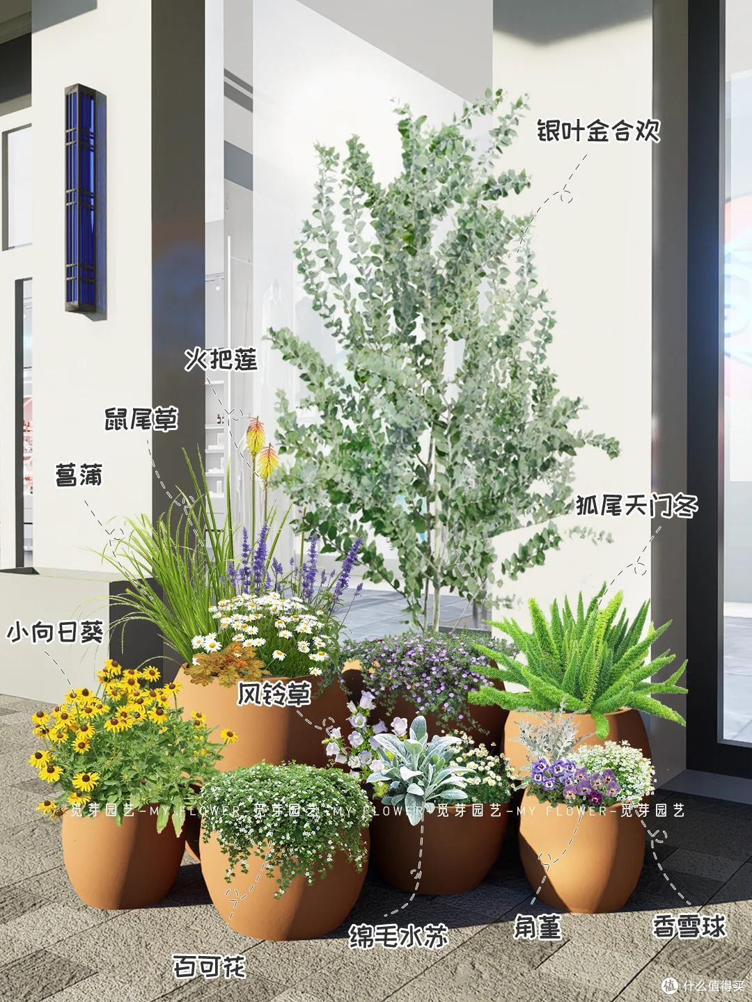 上海一保安，因“捡业主淘汰的花养”而火了，网友：给大叔涨工资