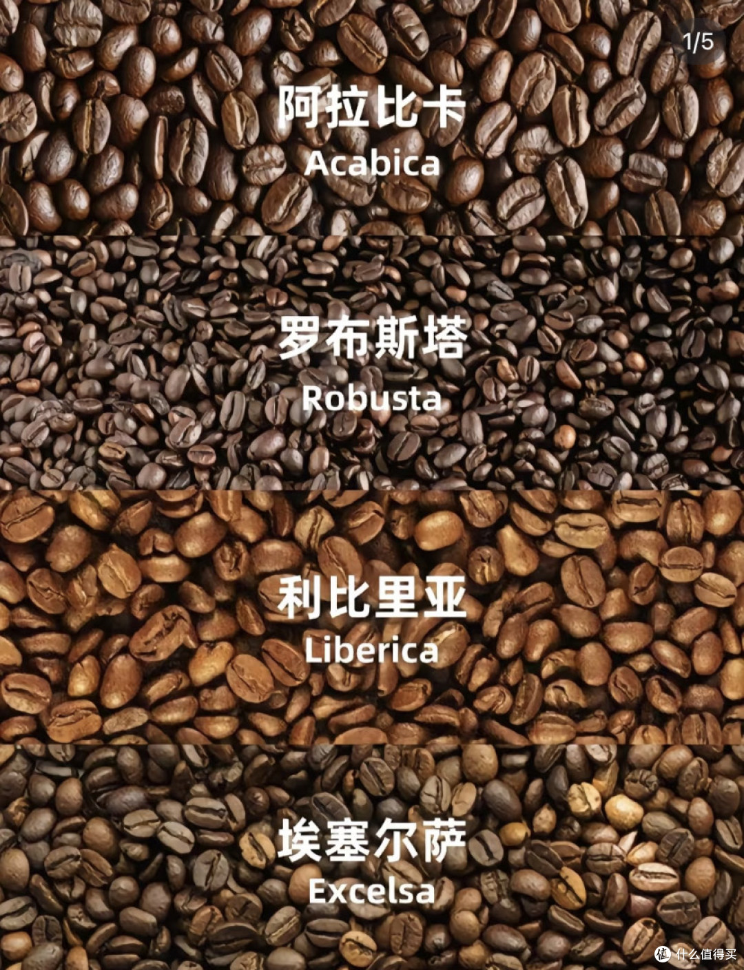 全球咖啡供应链大揭秘