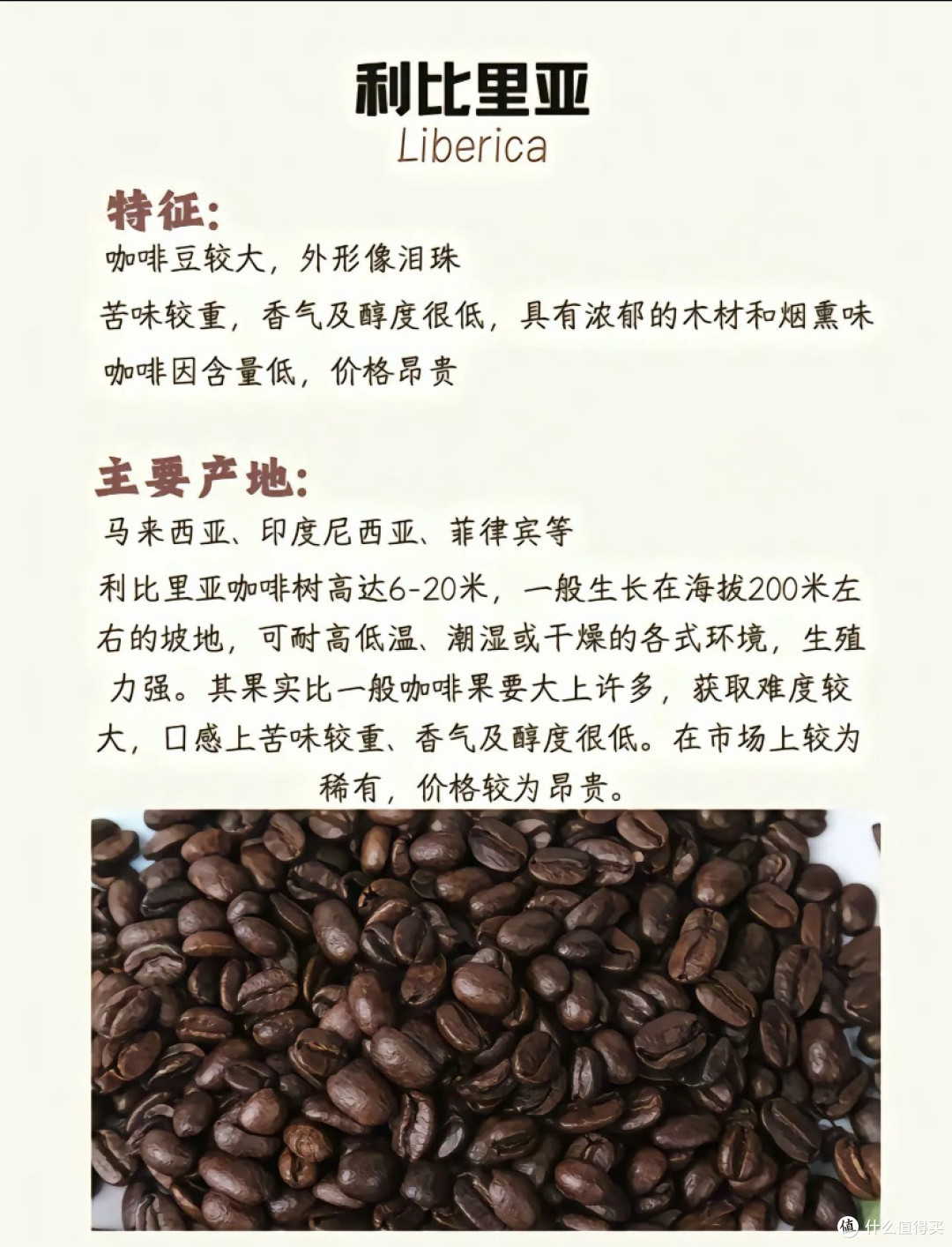 全球咖啡供应链大揭秘