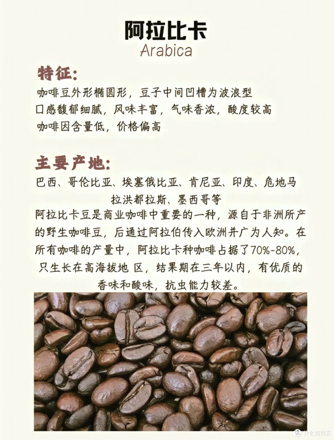 全球咖啡供应链大揭秘