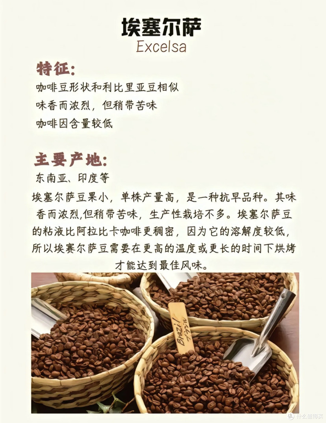 全球咖啡供应链大揭秘
