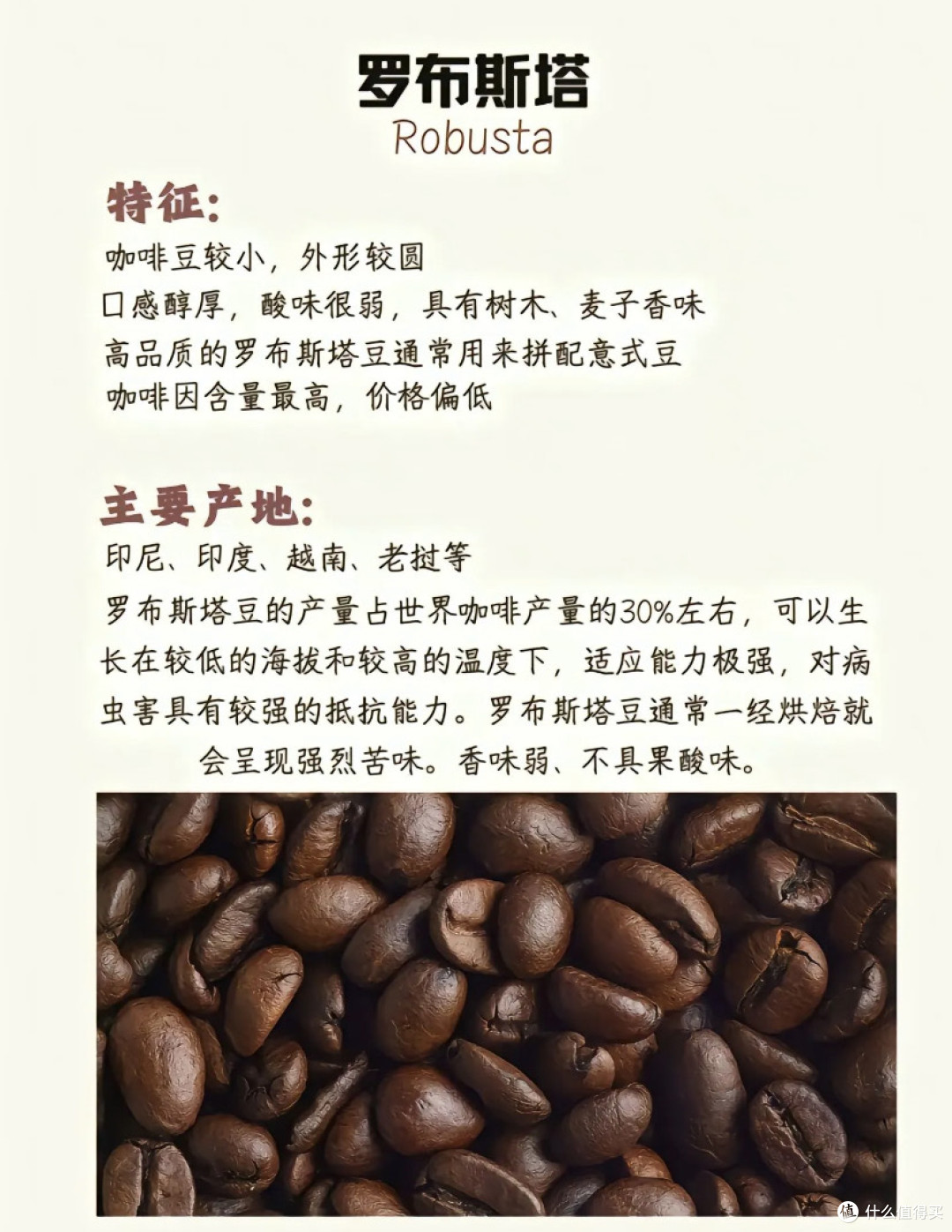 全球咖啡供应链大揭秘