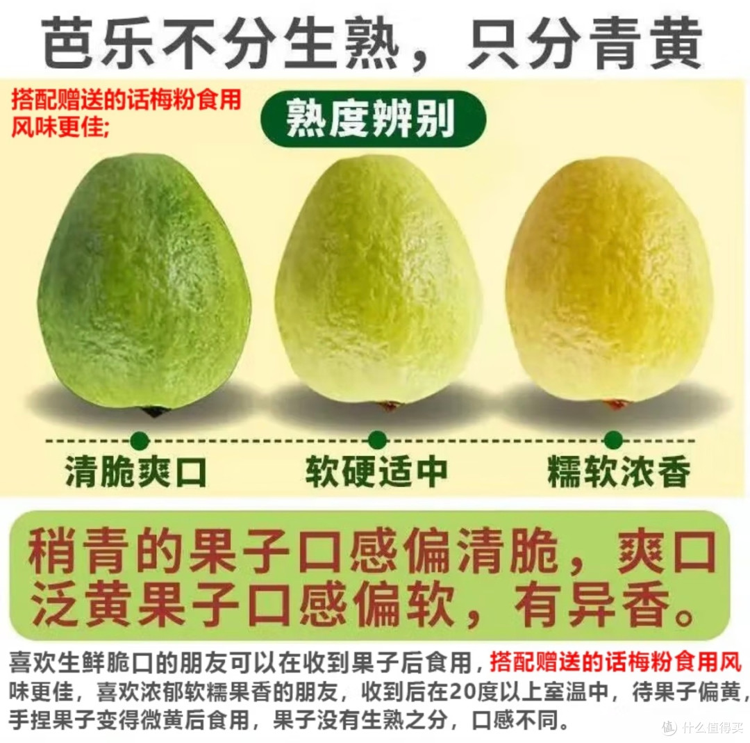 营养丰富的芭乐,你吃了吗?