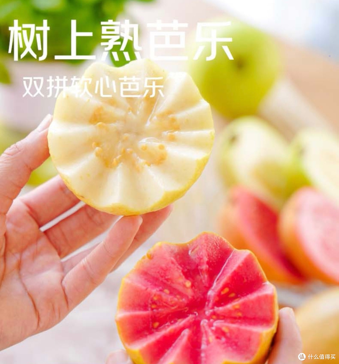 营养丰富的芭乐,你吃了吗?