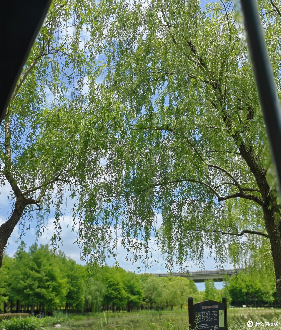 春季野餐水果搭配指南