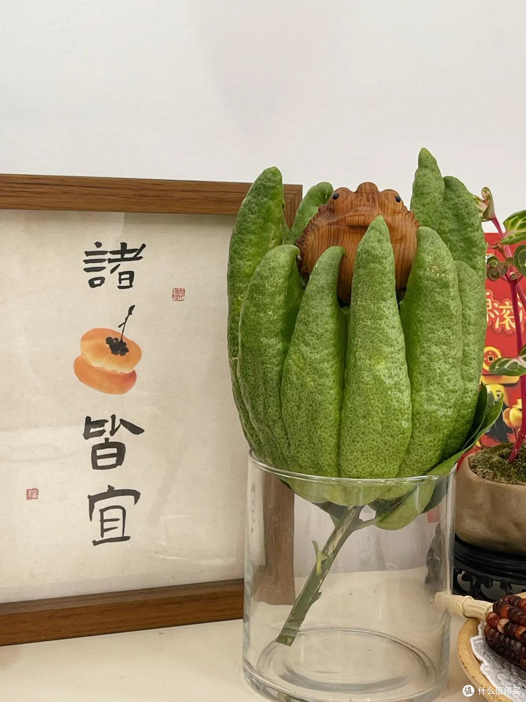 女子吐槽:“种了5年的柠檬树,结出了大傻瓜”,网友:赚到了!