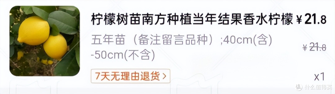 女子吐槽:“种了5年的柠檬树,结出了大傻瓜”,网友:赚到了!