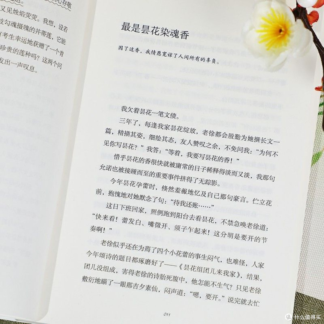 于文字间邂逅美好，感悟生命的从容之姿