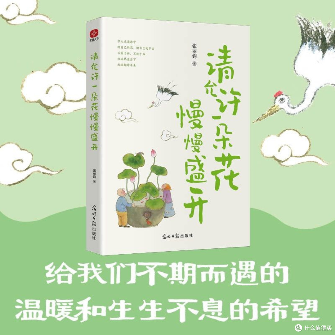 于文字间邂逅美好，感悟生命的从容之姿