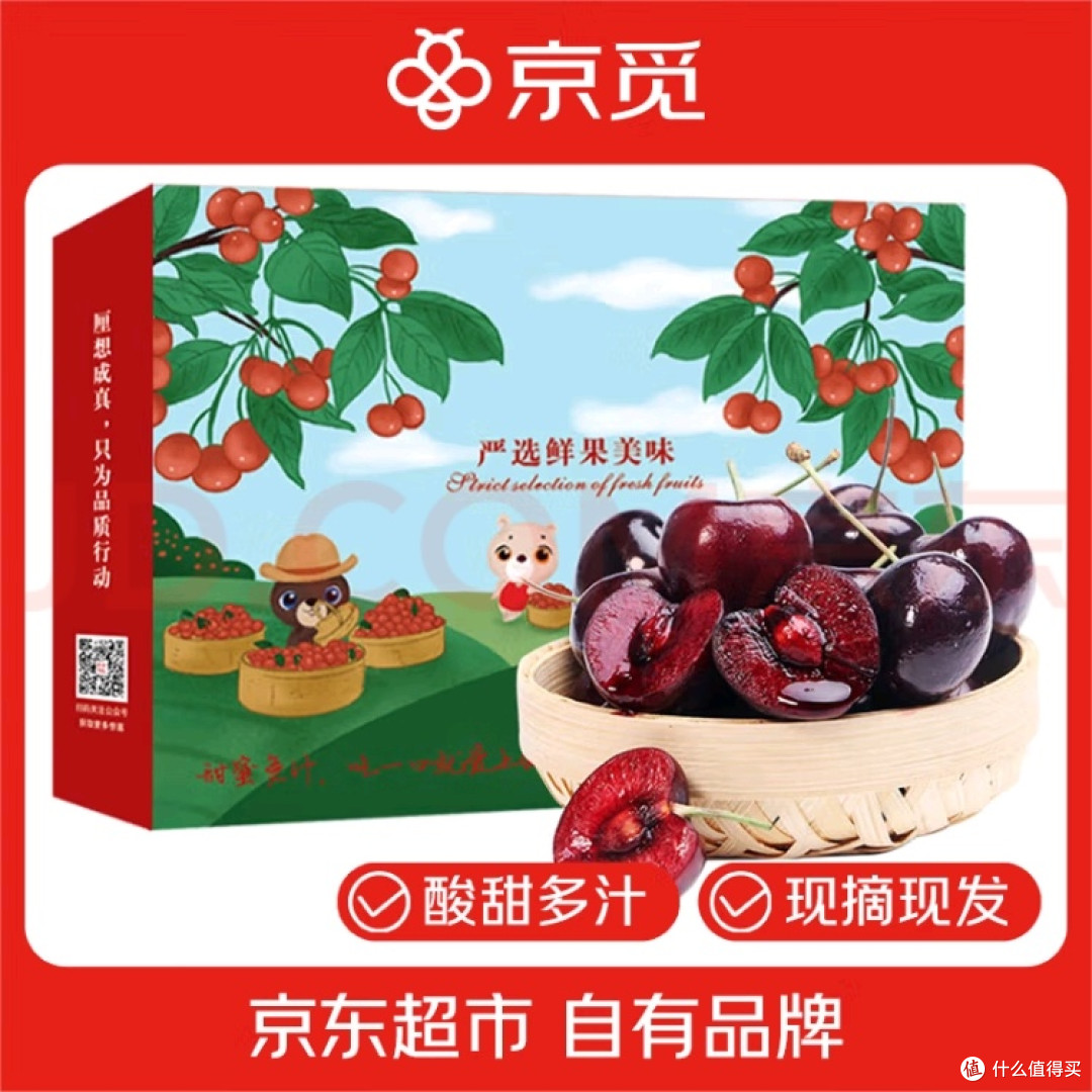 红珠蕴玉：樱桃的生命简史与营养哲学