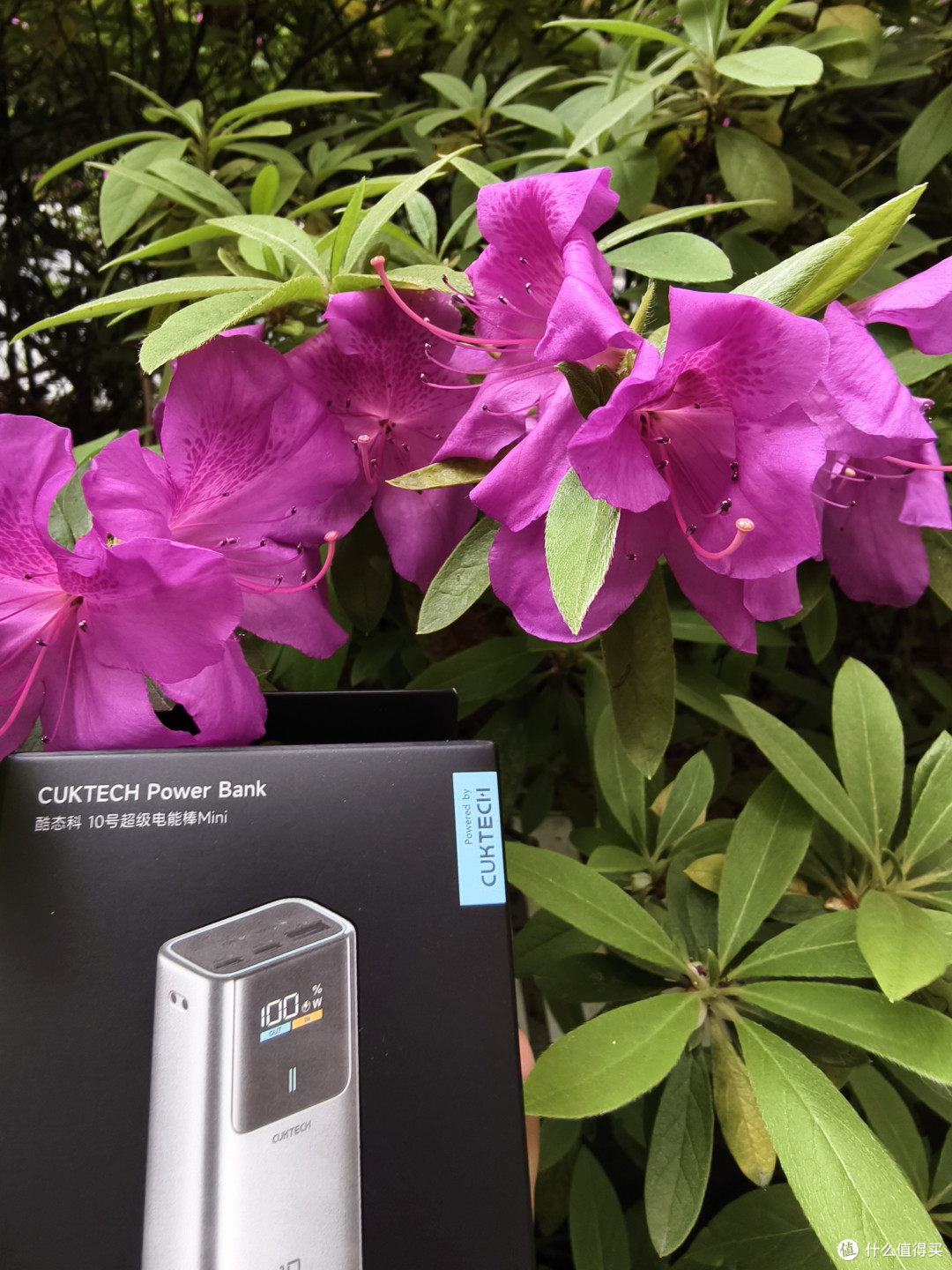 快充黑科技,小子!酷态科10mini,短途是否还有续航焦虑?