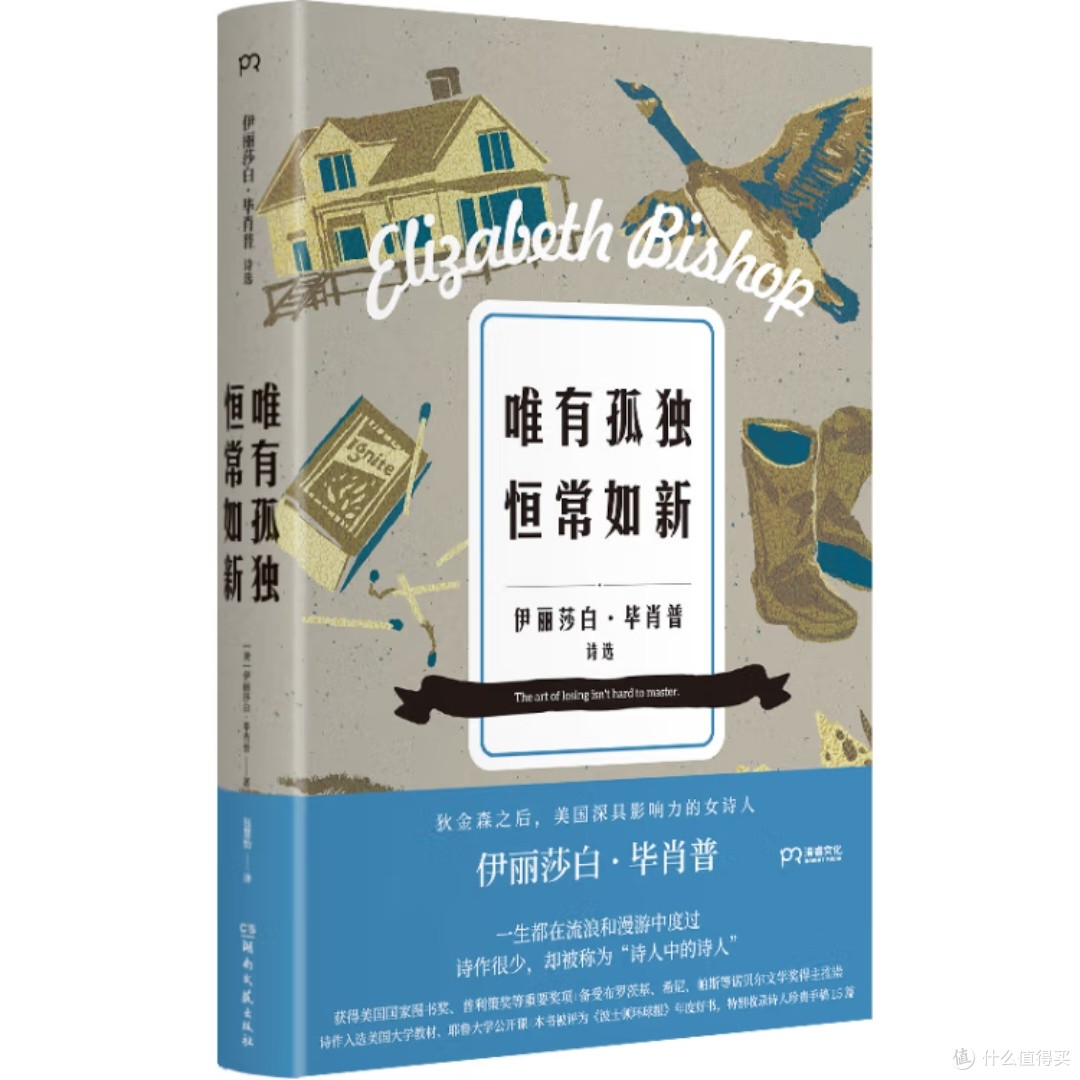 记忆条与人类身份的挑战