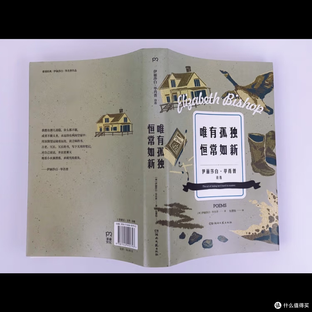 记忆条与人类身份的挑战