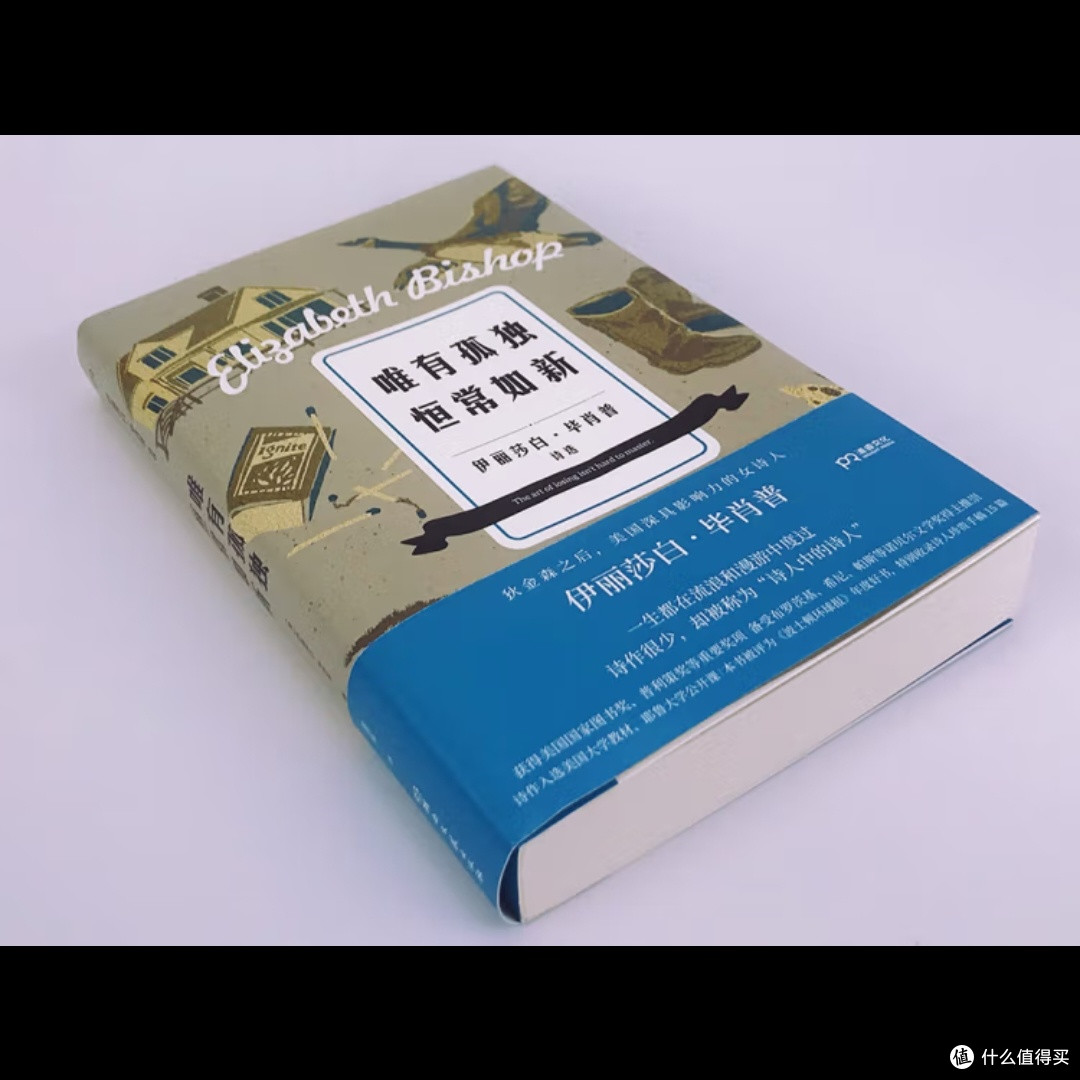 记忆条与人类身份的挑战