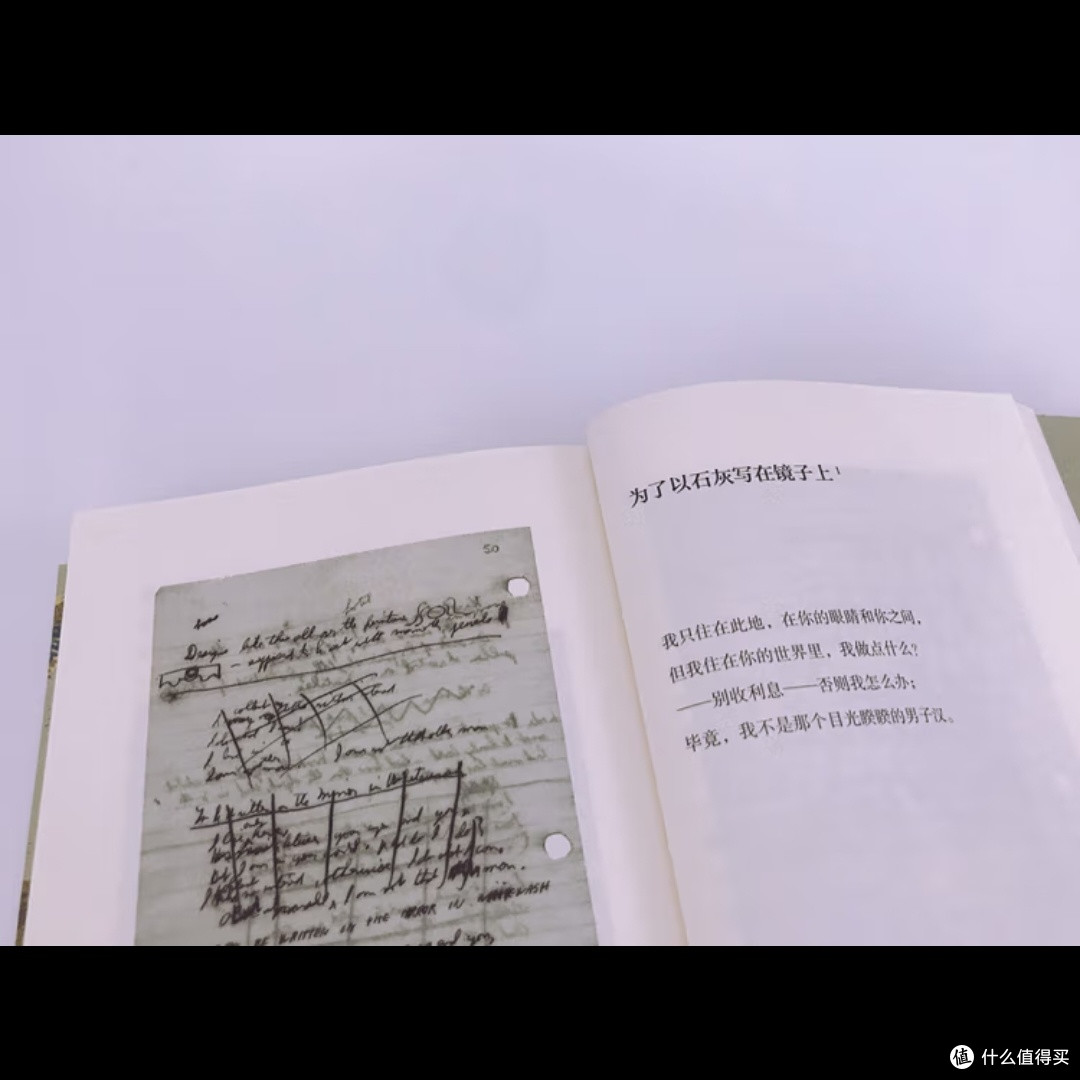 记忆条与人类身份的挑战