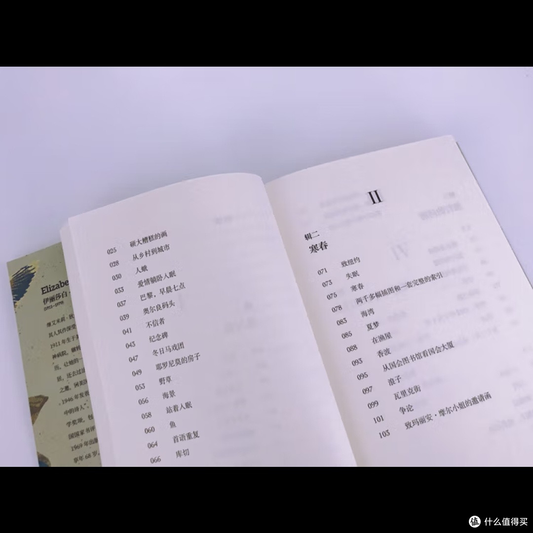 记忆条与人类身份的挑战