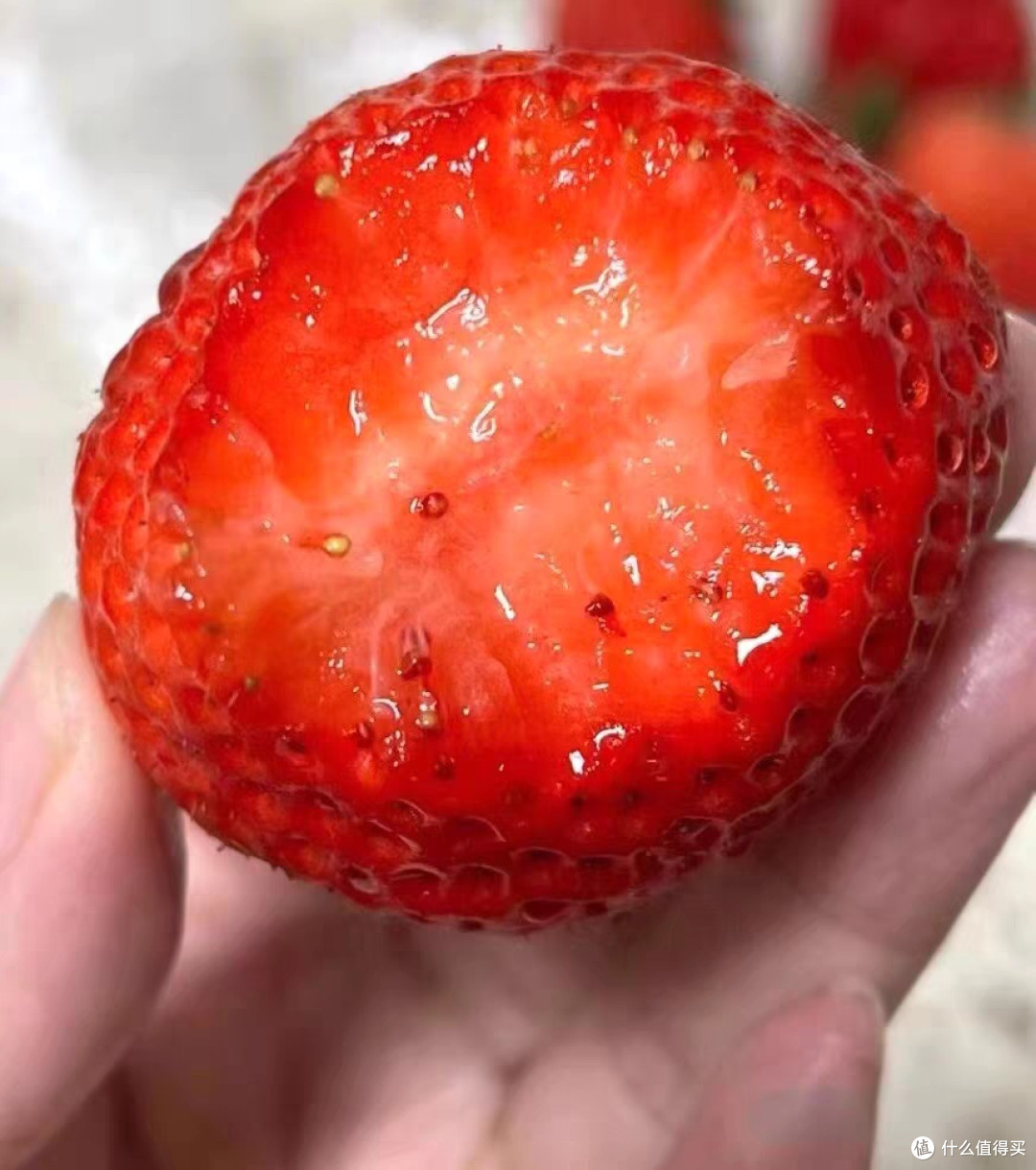 春季水果尝鲜:草莓口感与选购秘籍
