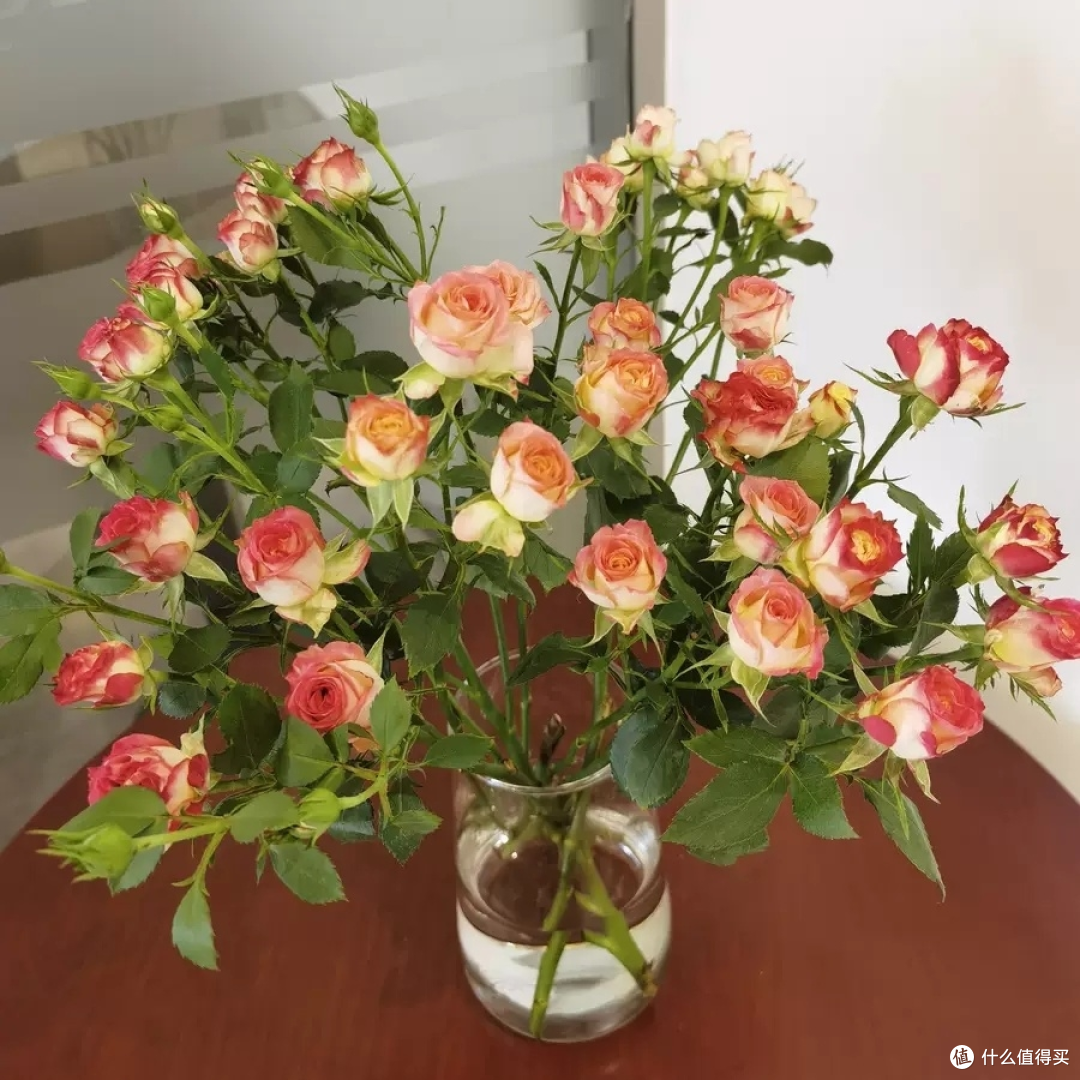 美团闪购必买购物清单之鲜花篇