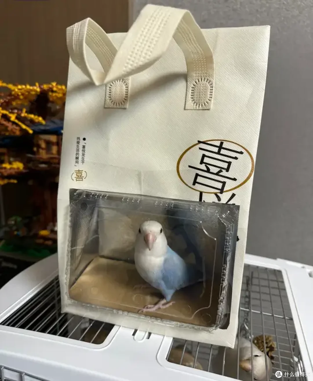 奶茶袋舍不得丢，又不知道怎么利用？评论区全是绝妙的点子！