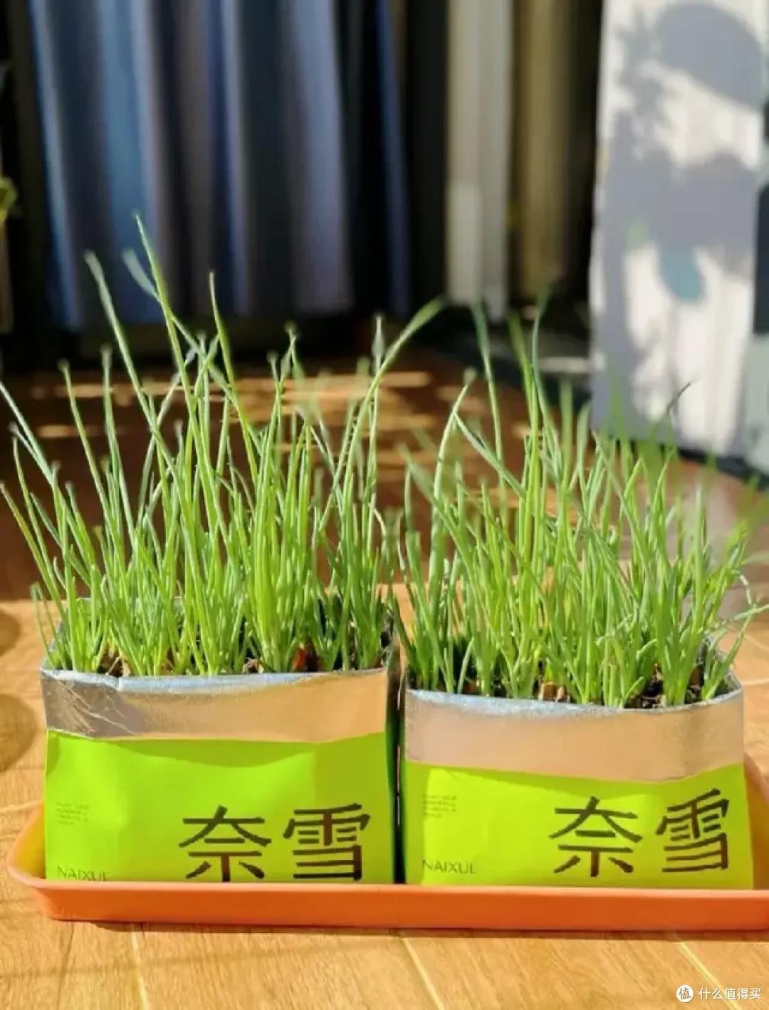 奶茶袋舍不得丢，又不知道怎么利用？评论区全是绝妙的点子！