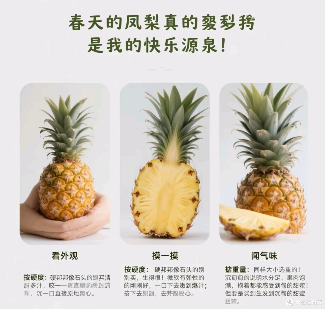 春天凤梨挑对了吗?教你选甜美的秘诀