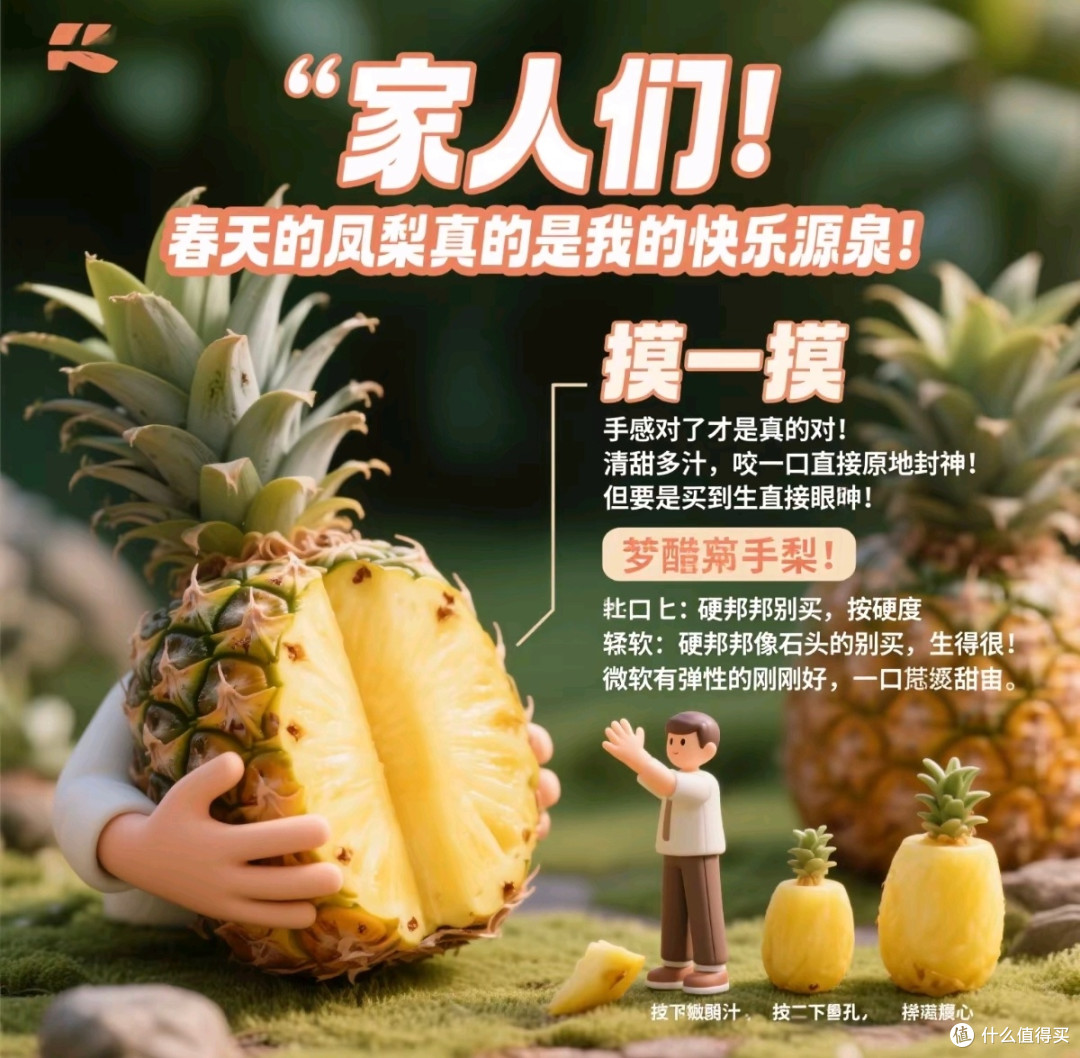 春天凤梨挑对了吗?教你选甜美的秘诀