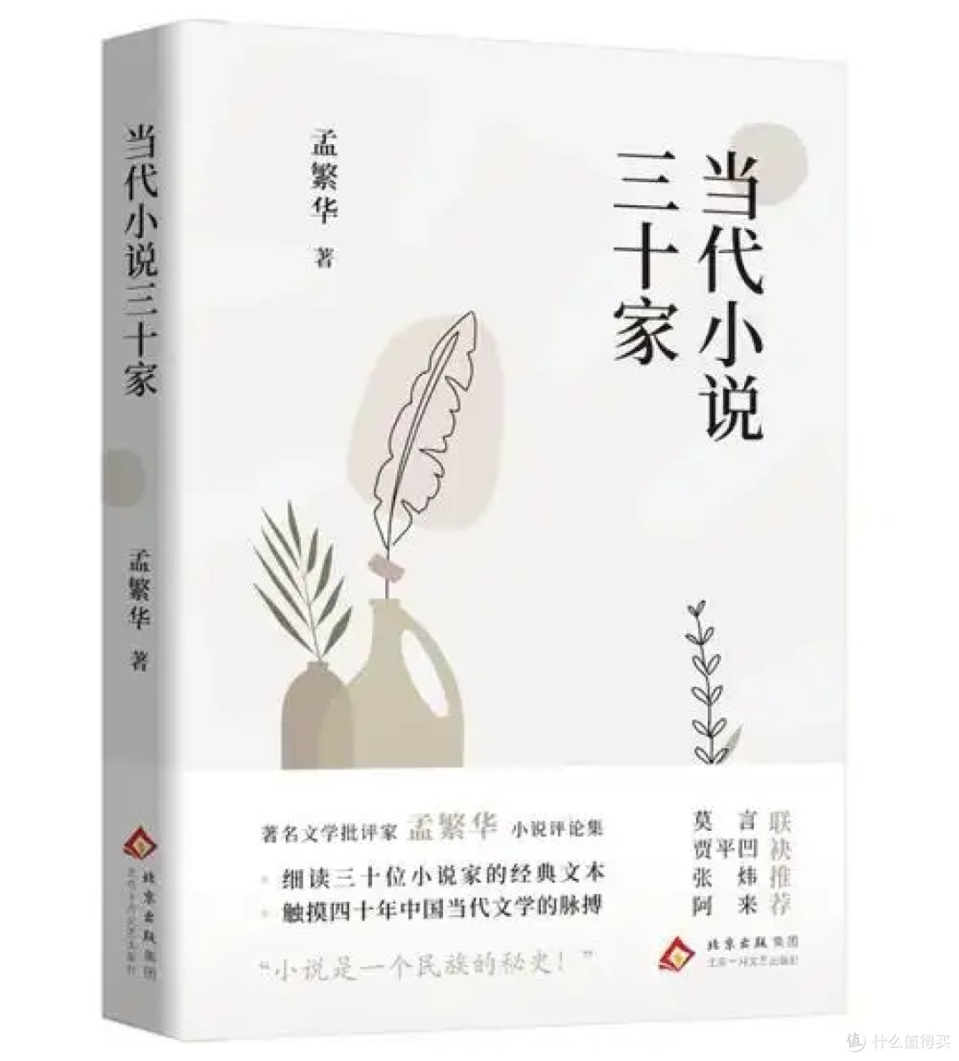 当代小说三十家:文学评论集