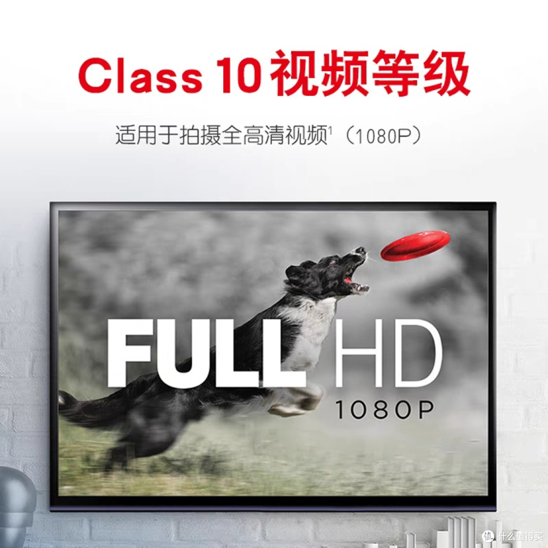 专业摄影师的可靠存储选择
