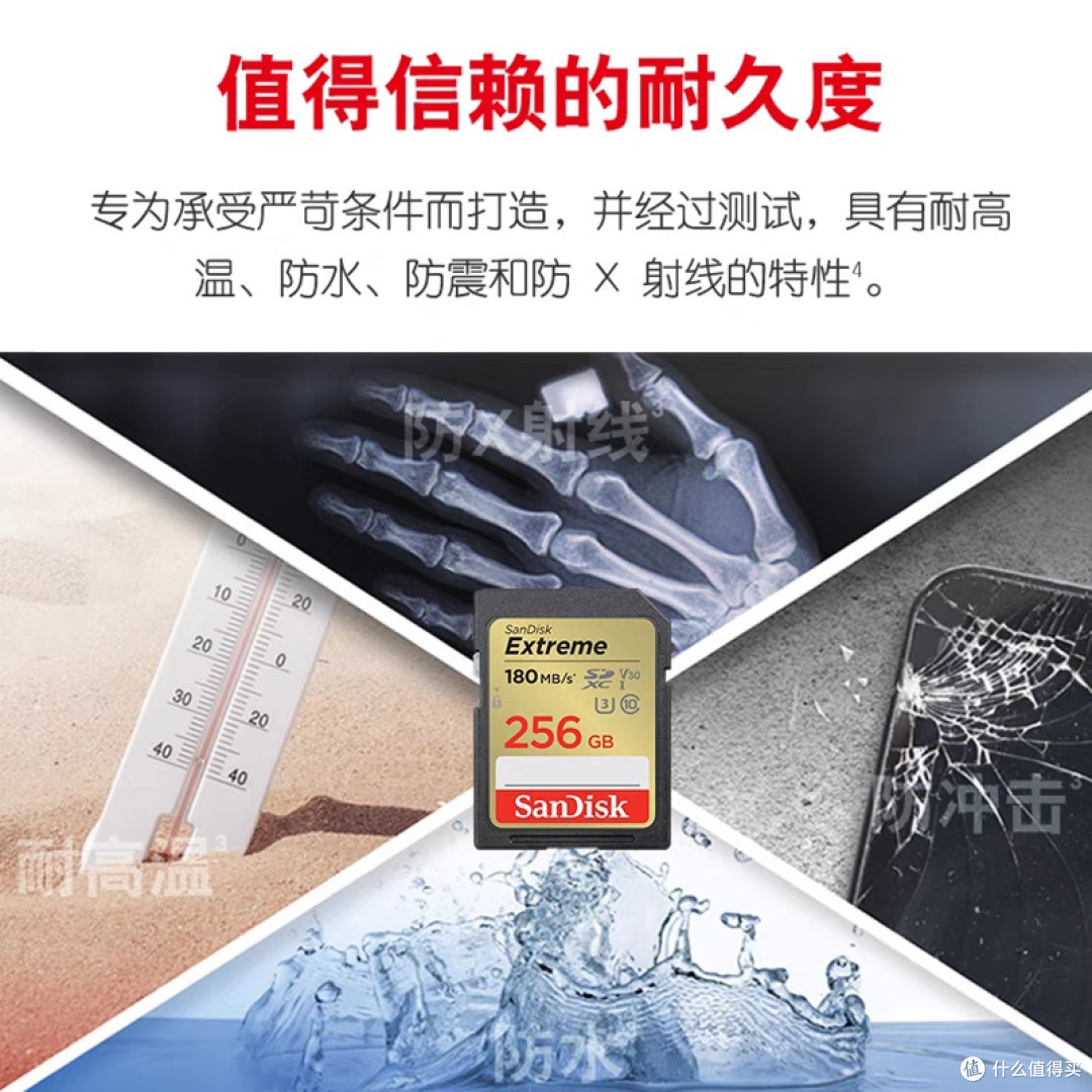 闪迪256G SD卡：高端摄影之选