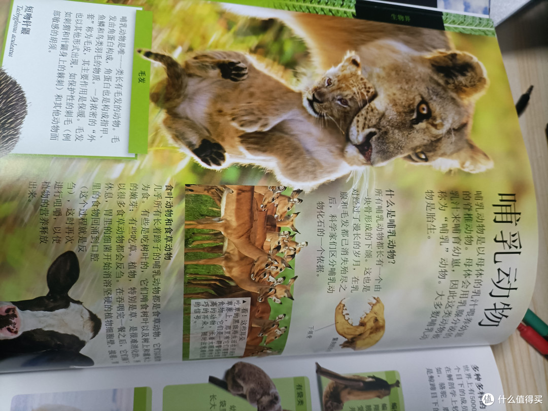DK儿童百科打开儿童的视野