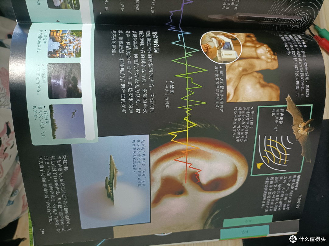 DK儿童百科打开儿童的视野