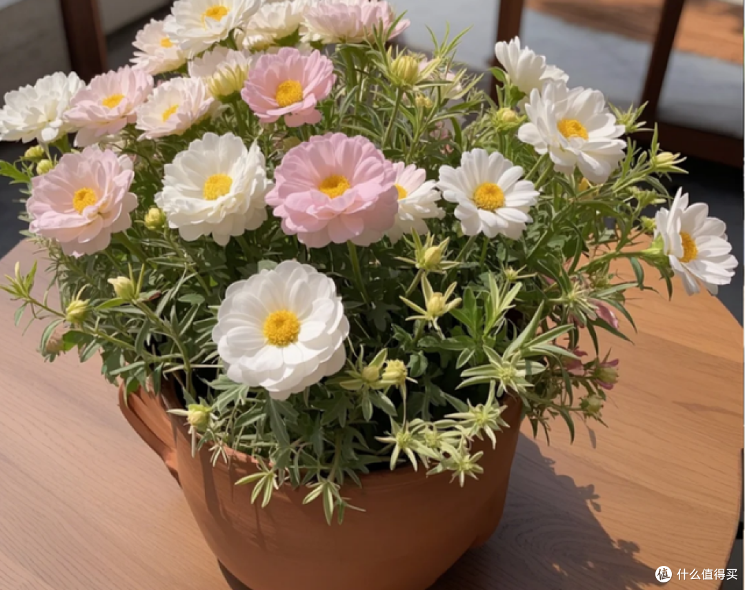 5月起，这5种花一定要“剃头”，修剪完，开花才会爆盆！