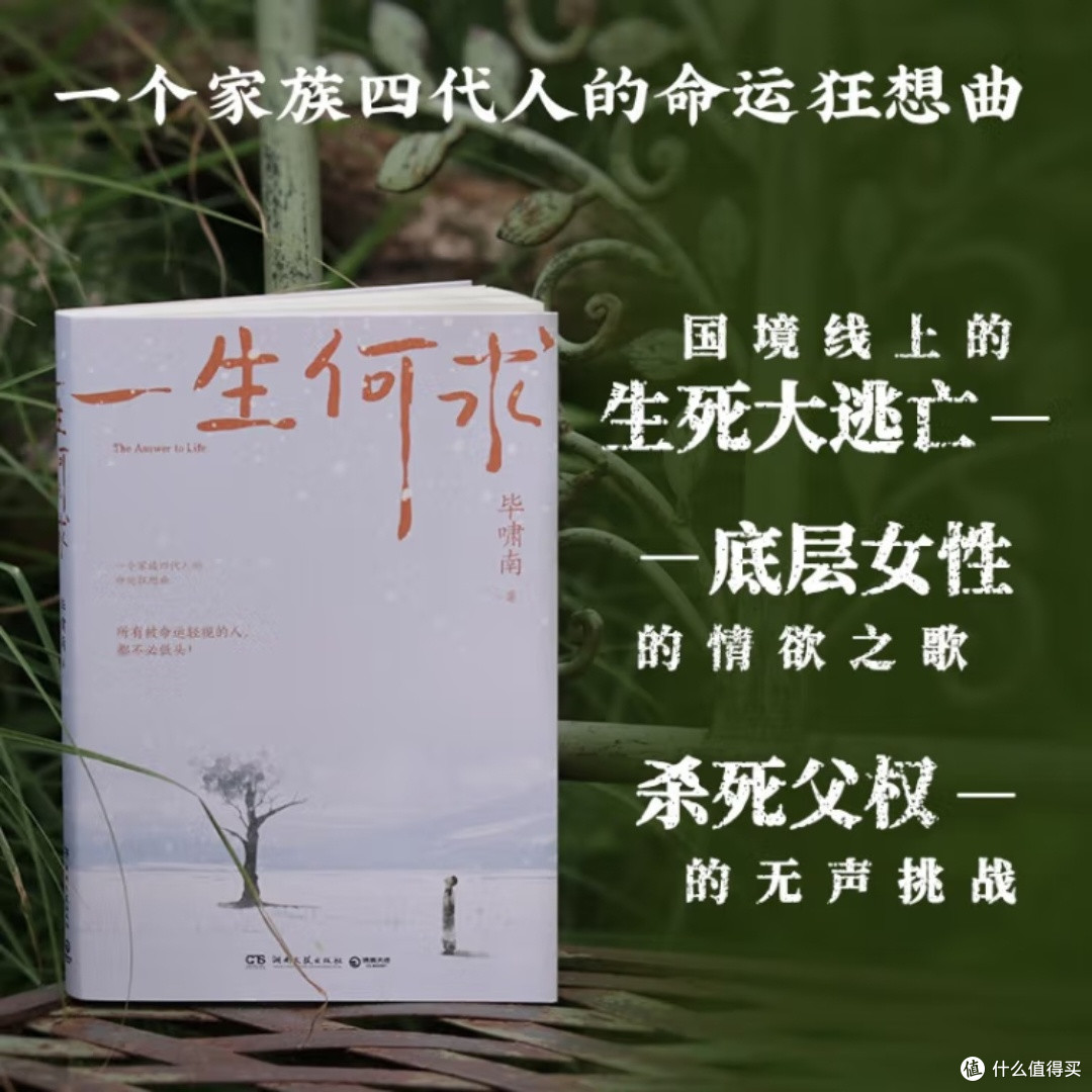 《一生何求》:百年家族命运