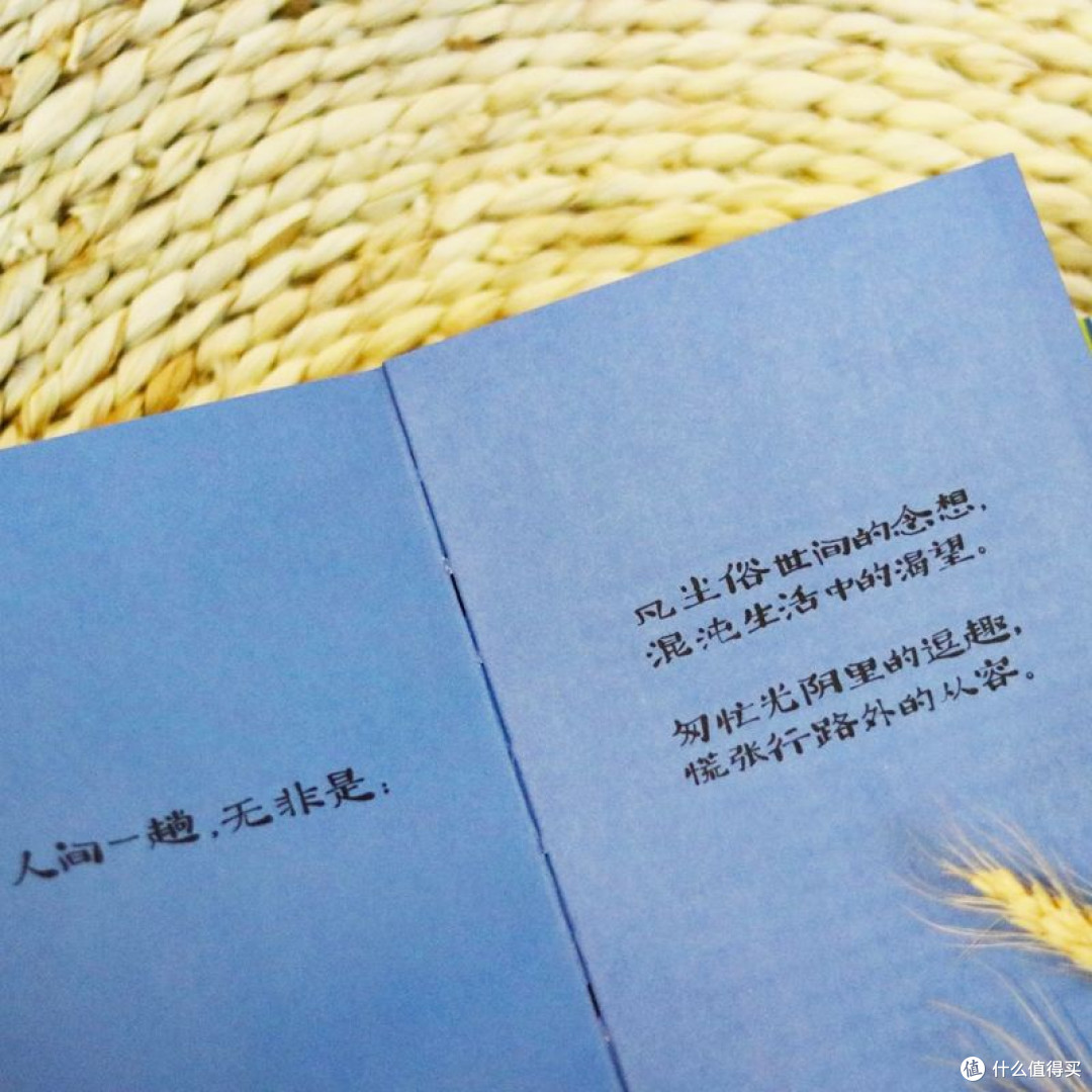 心有花田,何处不芬芳?