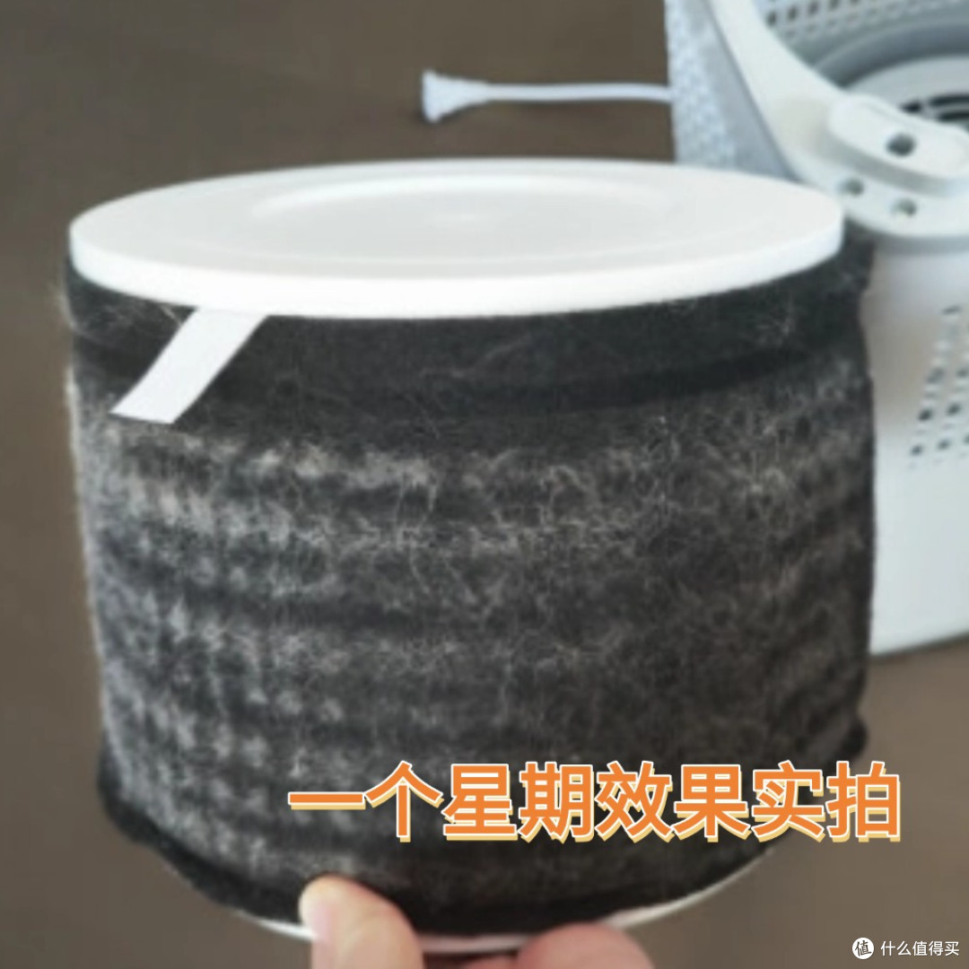 猫掉毛掉到崩溃?铲屎官别怕,用这个“毛发终结者”一招解决!