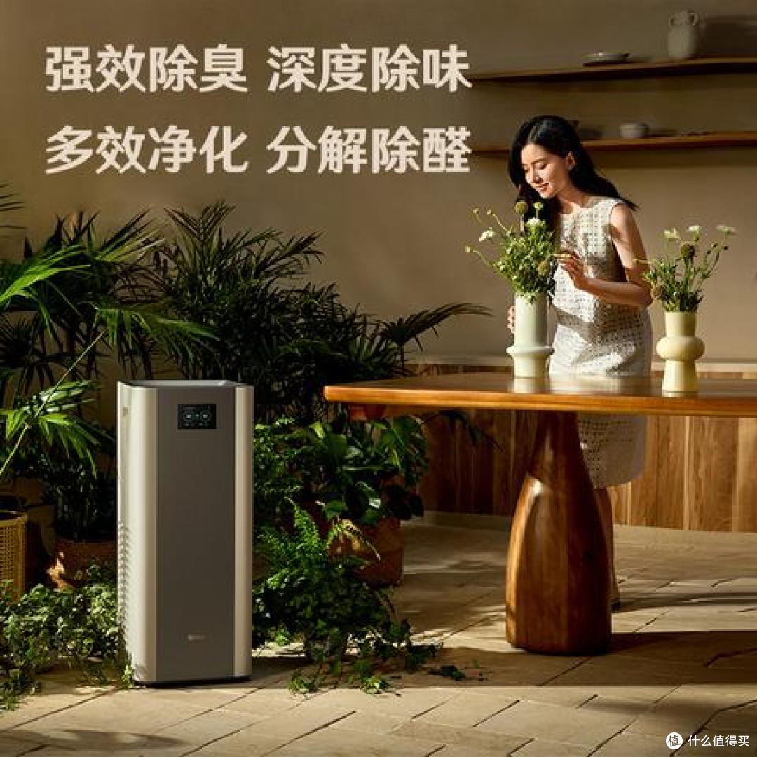 猫掉毛掉到崩溃?铲屎官别怕,用这个“毛发终结者”一招解决!