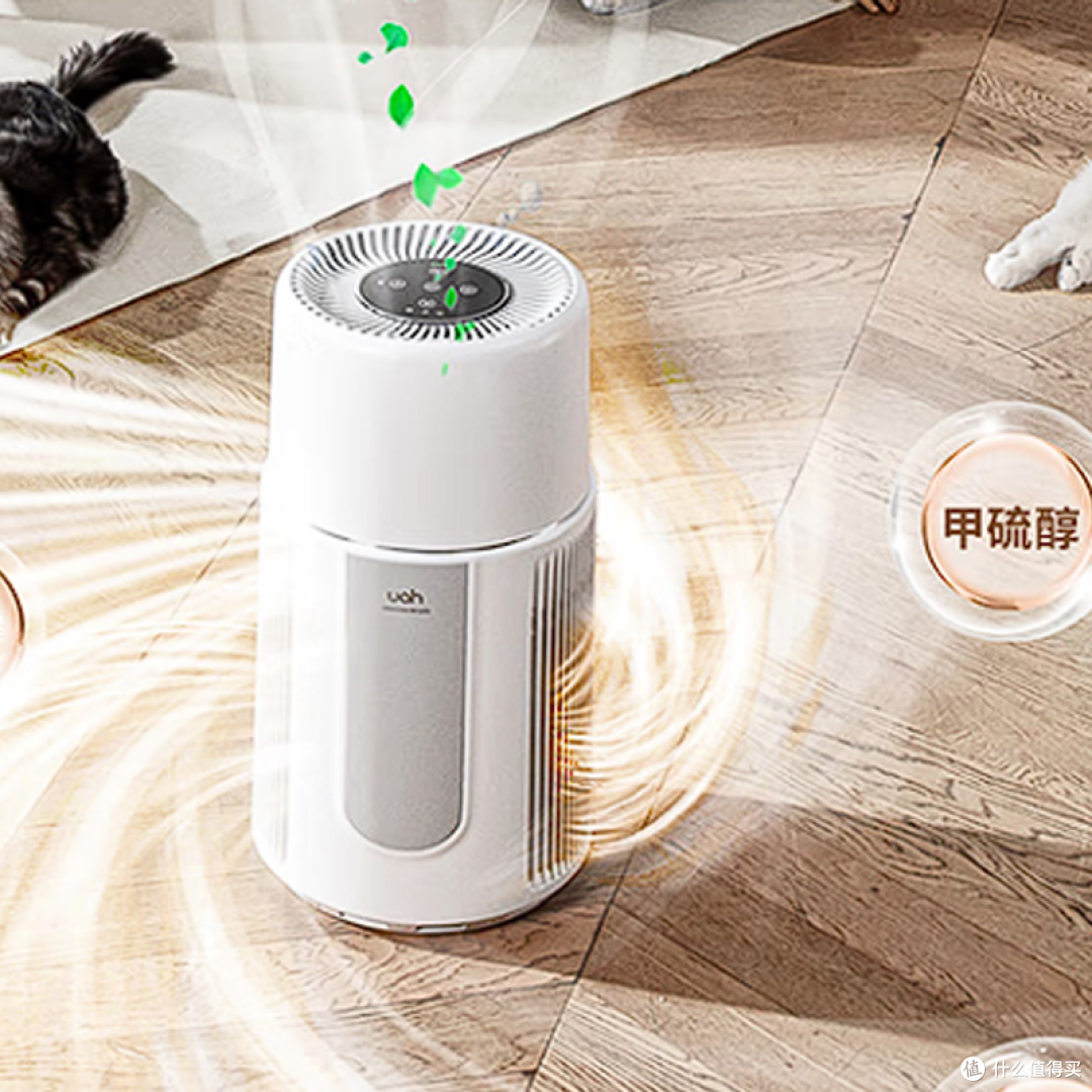 猫掉毛掉到崩溃?铲屎官别怕,用这个“毛发终结者”一招解决!