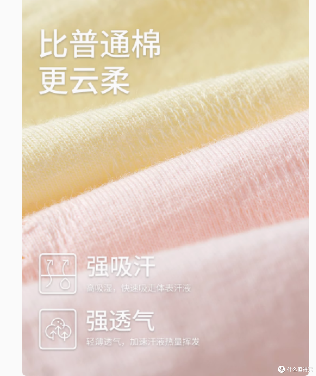 被我挖到宝了!黛尔佳人纯棉内裤简直是梦中情裤