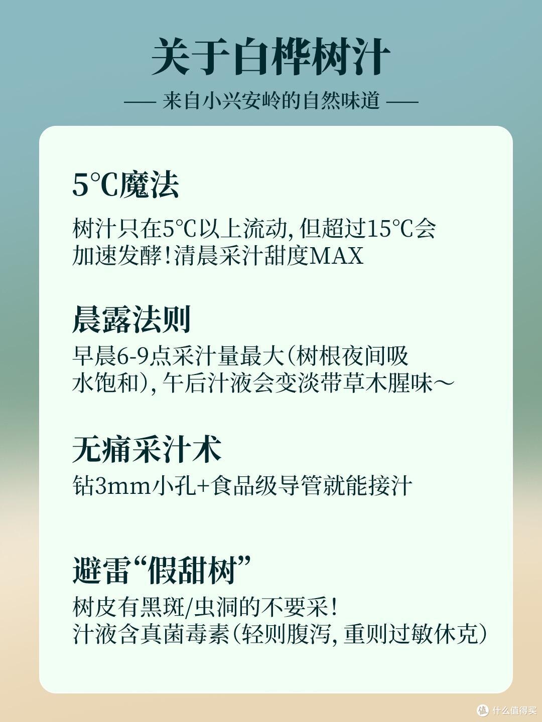 美桦说 白桦汁的5大好处,看完你就知道它为什么这么火了