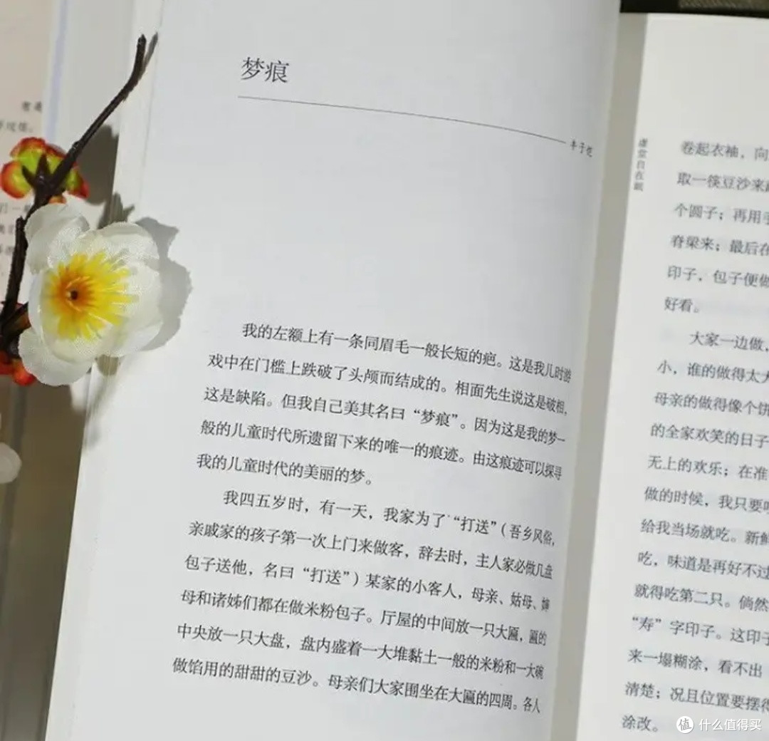 于文字中释怀,在书香里从容